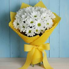 Букет цветов из:  Хризантемы в Черусти