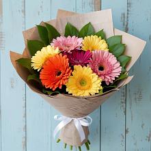 Букет цветов из:  Герберы в Черусти