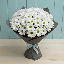Букет цветов из:  Хризантемы в Черусти