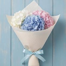Букет цветов из:  Гортензия в Черусти