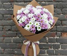 Букет цветов из:  Хризантемы в Черусти