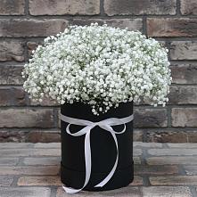 Цветочная композиция из Гипсофила в шляпной коробке #REPLACE_PRED# Черусти