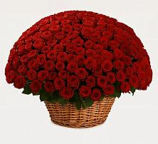 Премиум букет из: Розы в Черусти