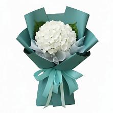 Букет цветов из:  Гортензия в Черусти
